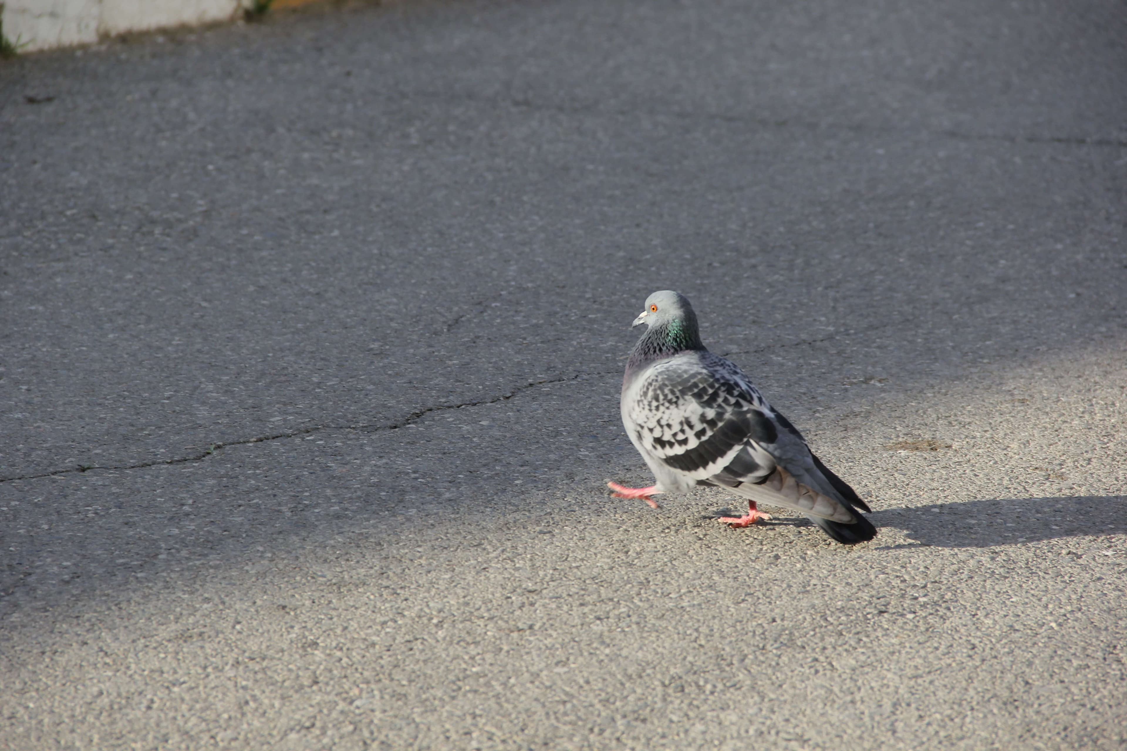 Bakı Mühəndislik Universiteti: Kampus və İnfrastruktur Qalereyası 2025 - Image 27