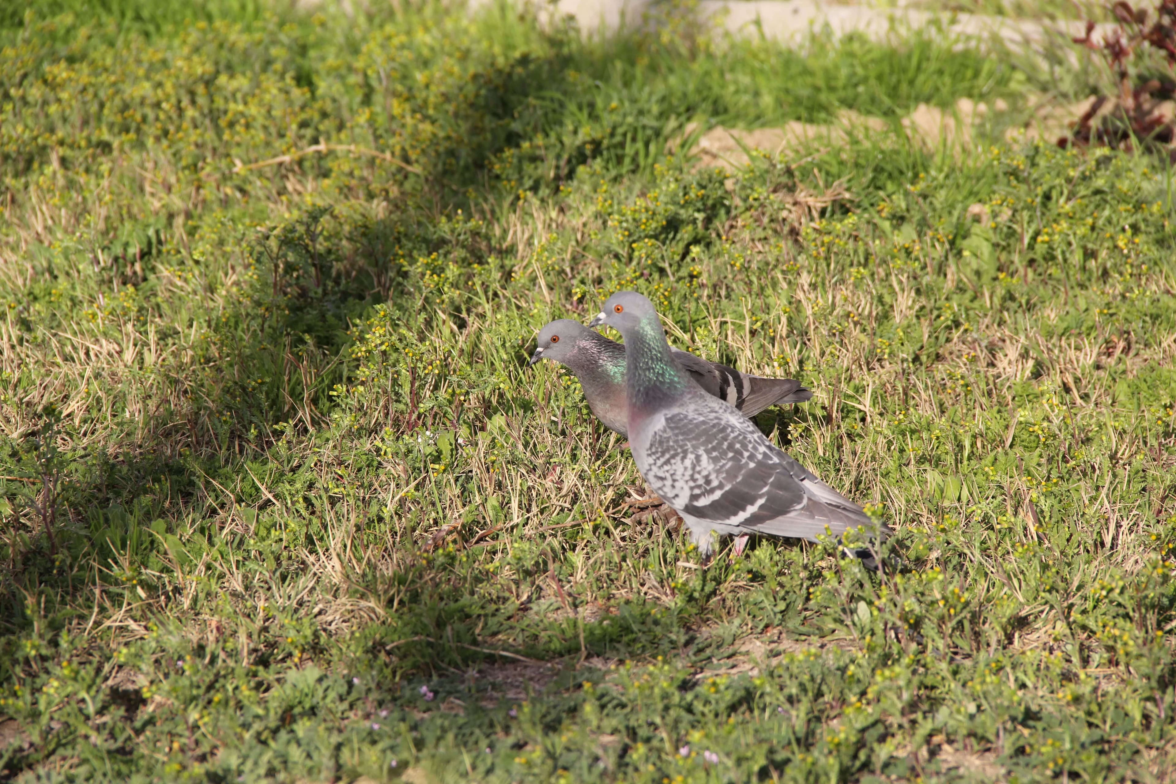 Bakı Mühəndislik Universiteti: Kampus və İnfrastruktur Qalereyası 2025 - Image 28