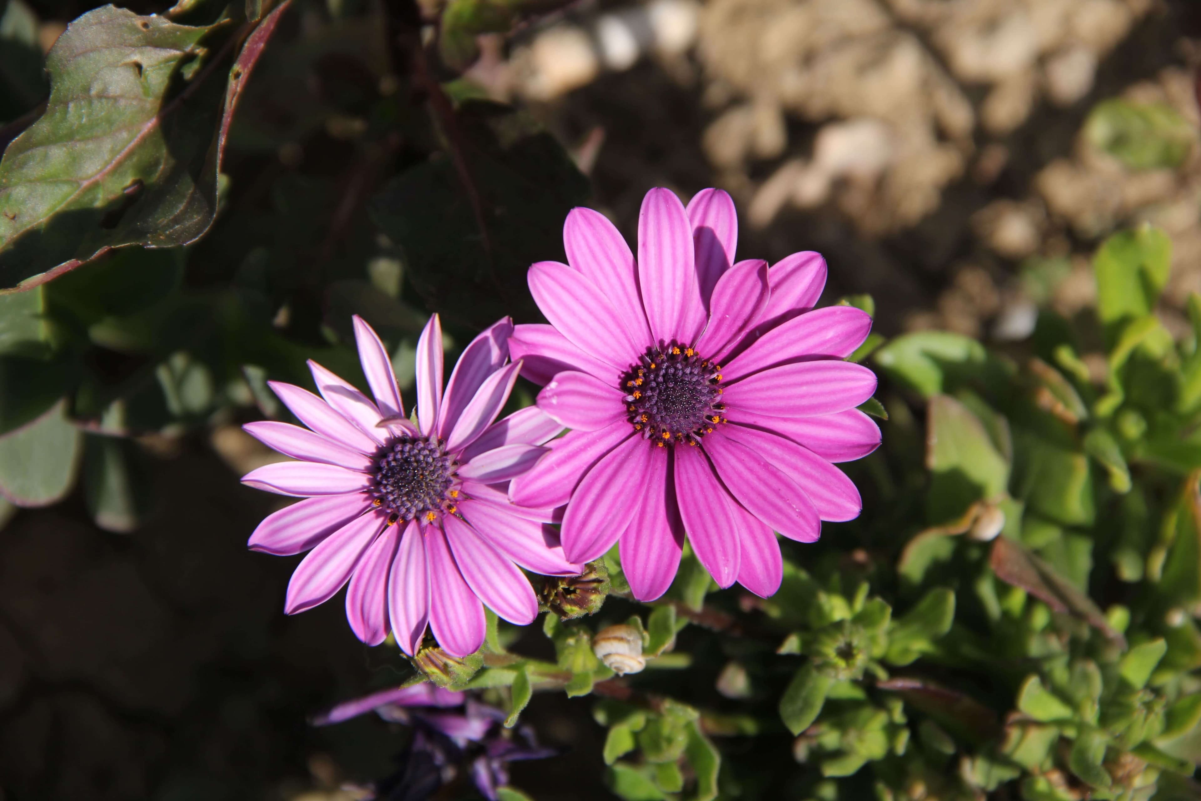 Bakı Mühəndislik Universiteti: Kampus və İnfrastruktur Qalereyası 2025 - Image 30