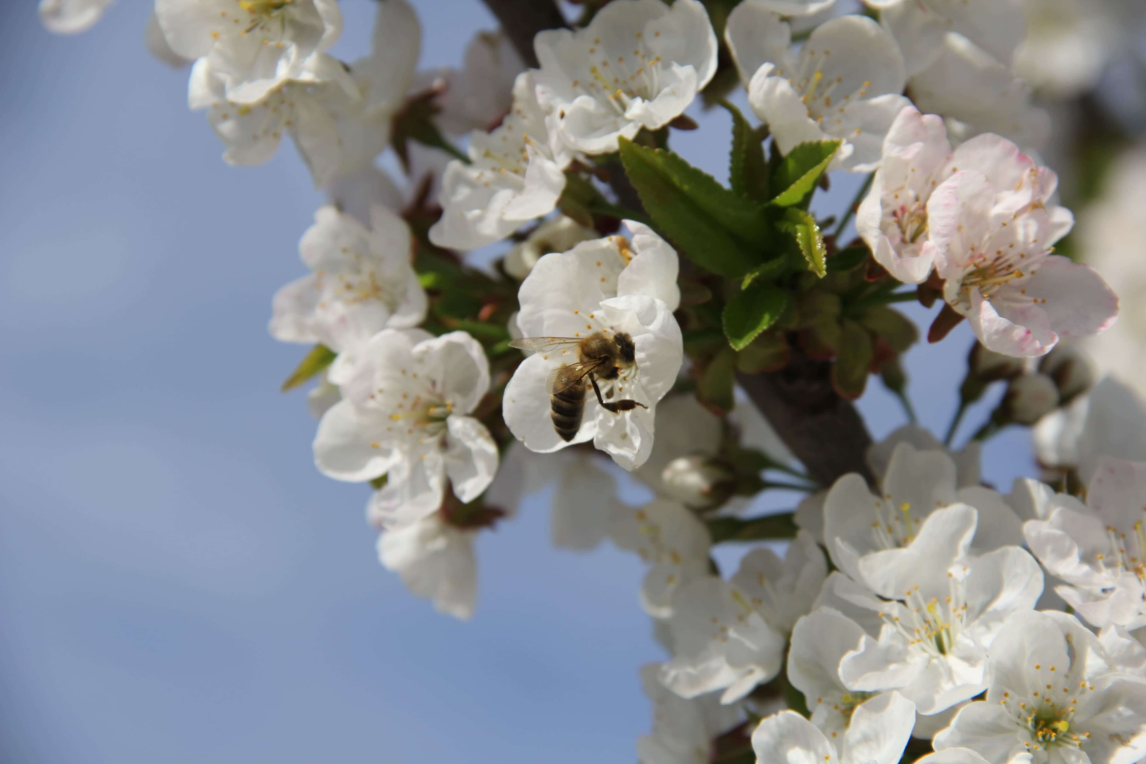 Bakı Mühəndislik Universiteti: Kampus və İnfrastruktur Qalereyası 2025 - Image 31