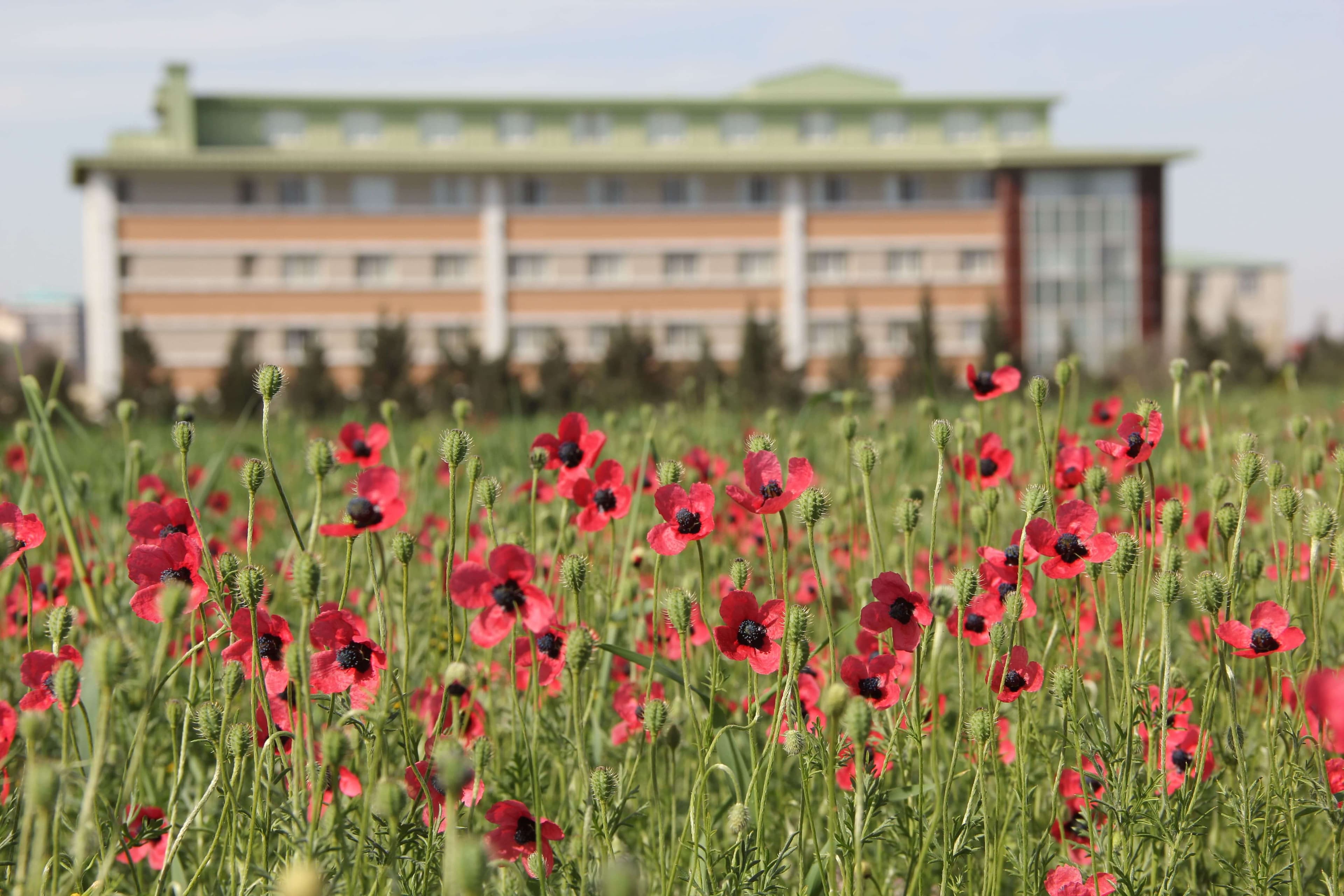 Bakı Mühəndislik Universiteti: Kampus və İnfrastruktur Qalereyası 2025 - Image 32