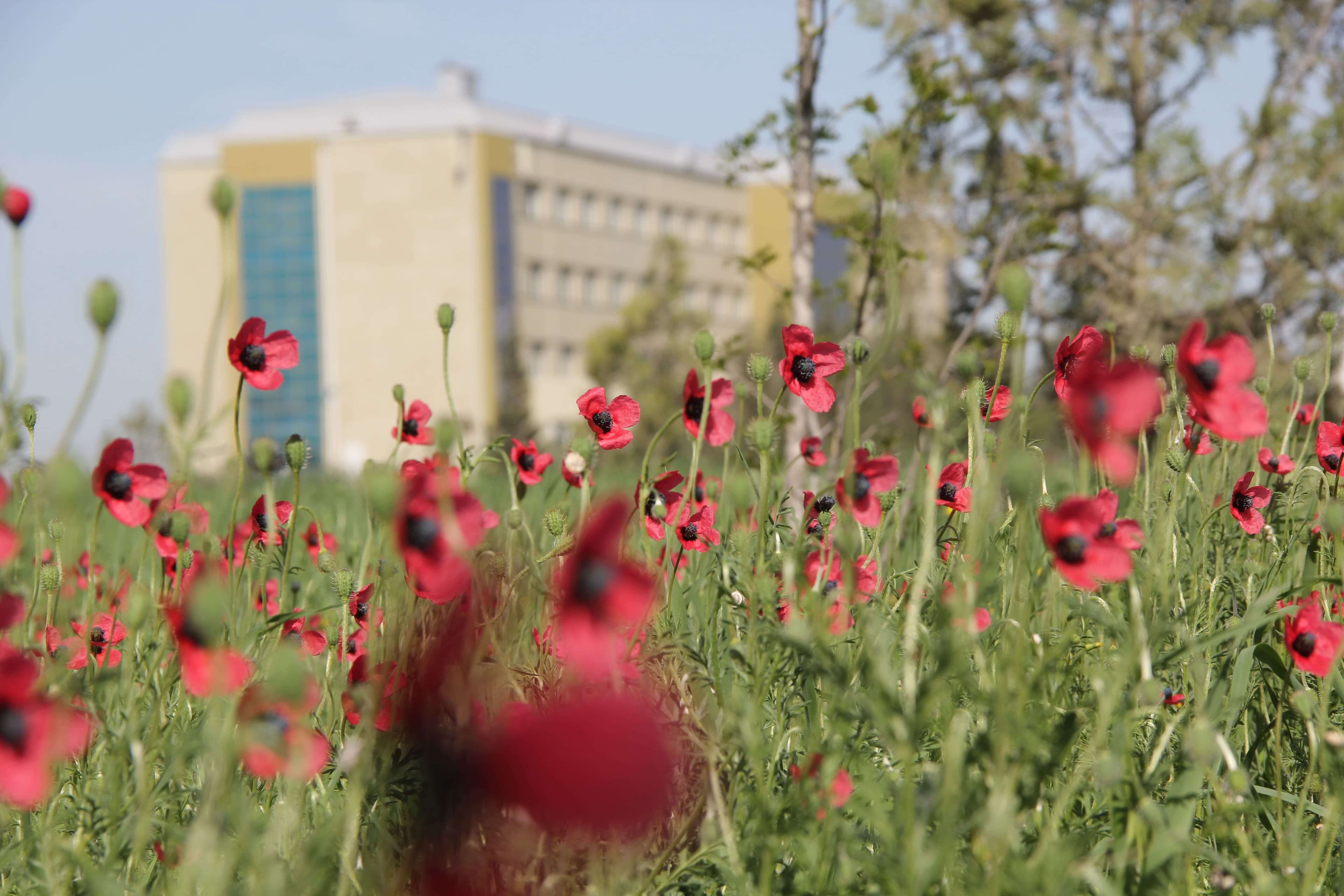 Bakı Mühəndislik Universiteti: Kampus və İnfrastruktur Qalereyası 2025 - Image 33