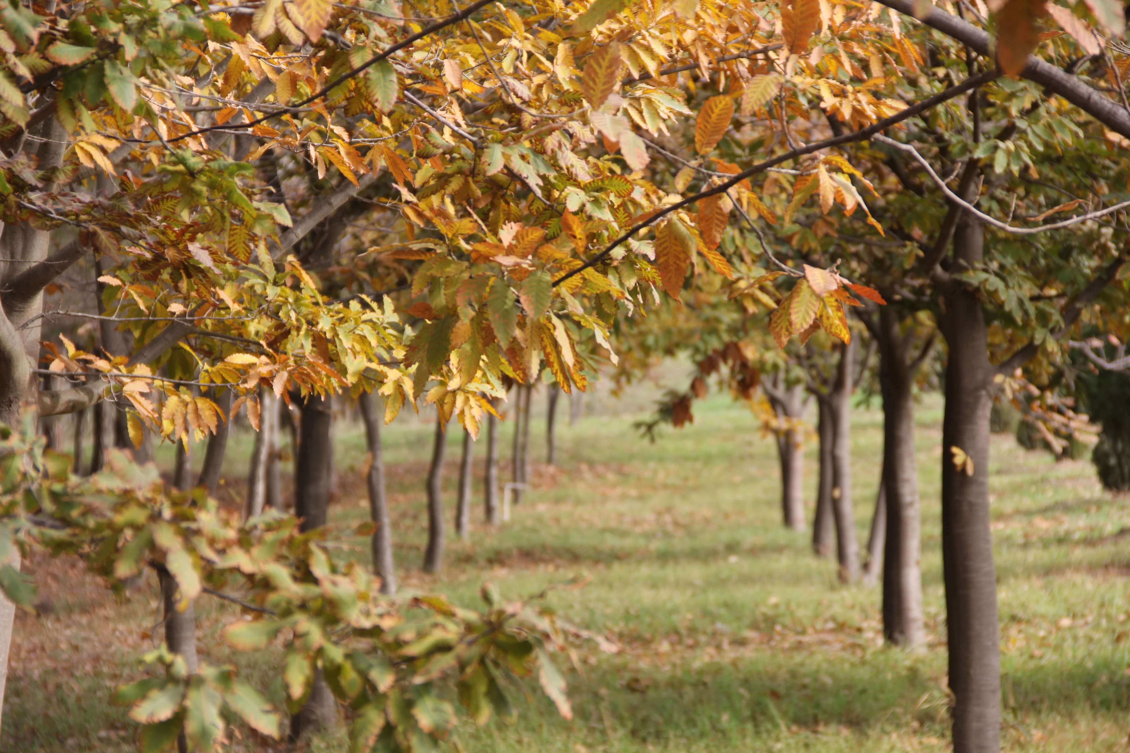 Bakı Mühəndislik Universiteti: Kampus və İnfrastruktur Qalereyası 2025 - Image 14