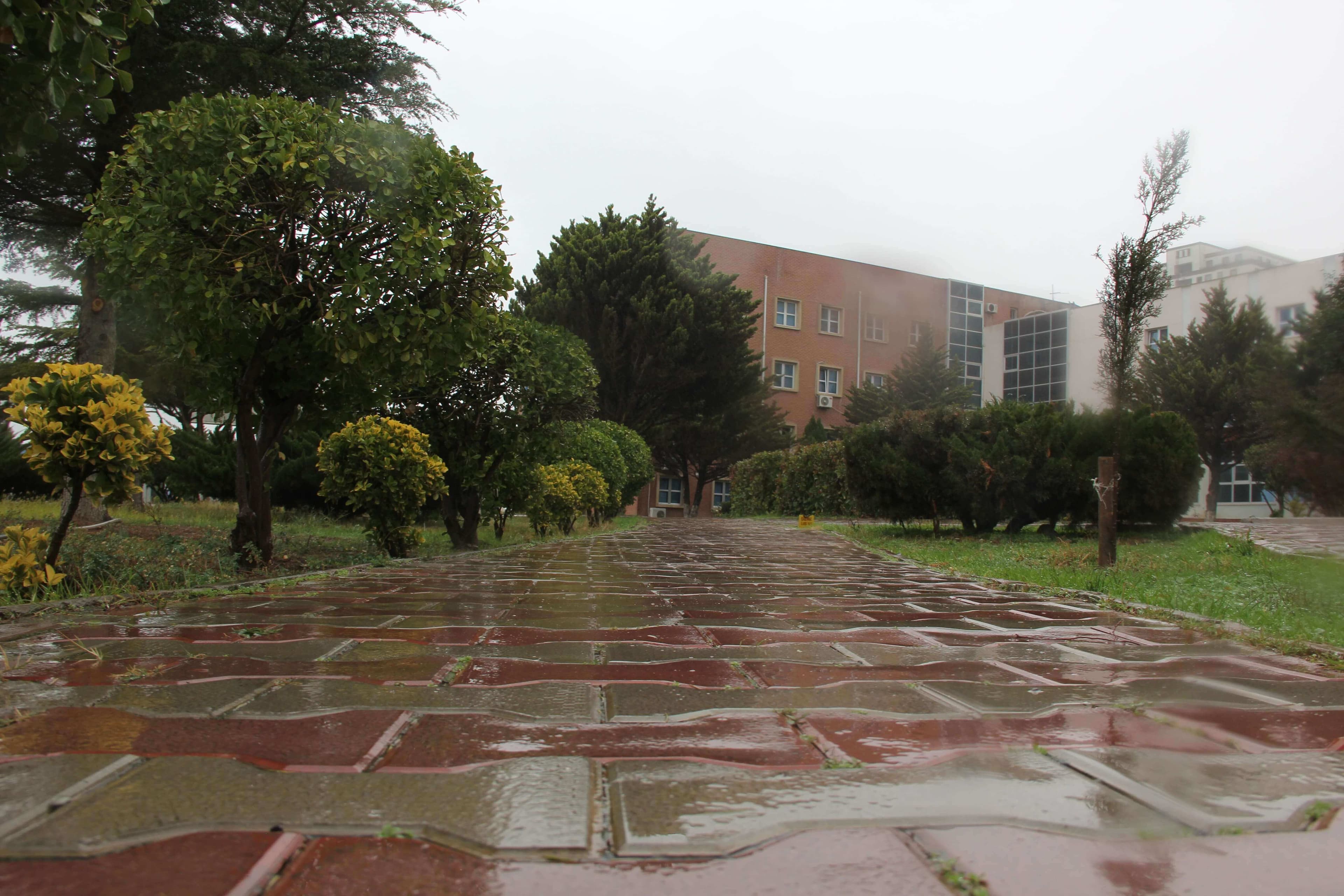 Bakı Mühəndislik Universiteti: Kampus və İnfrastruktur Qalereyası 2025 - Image 21