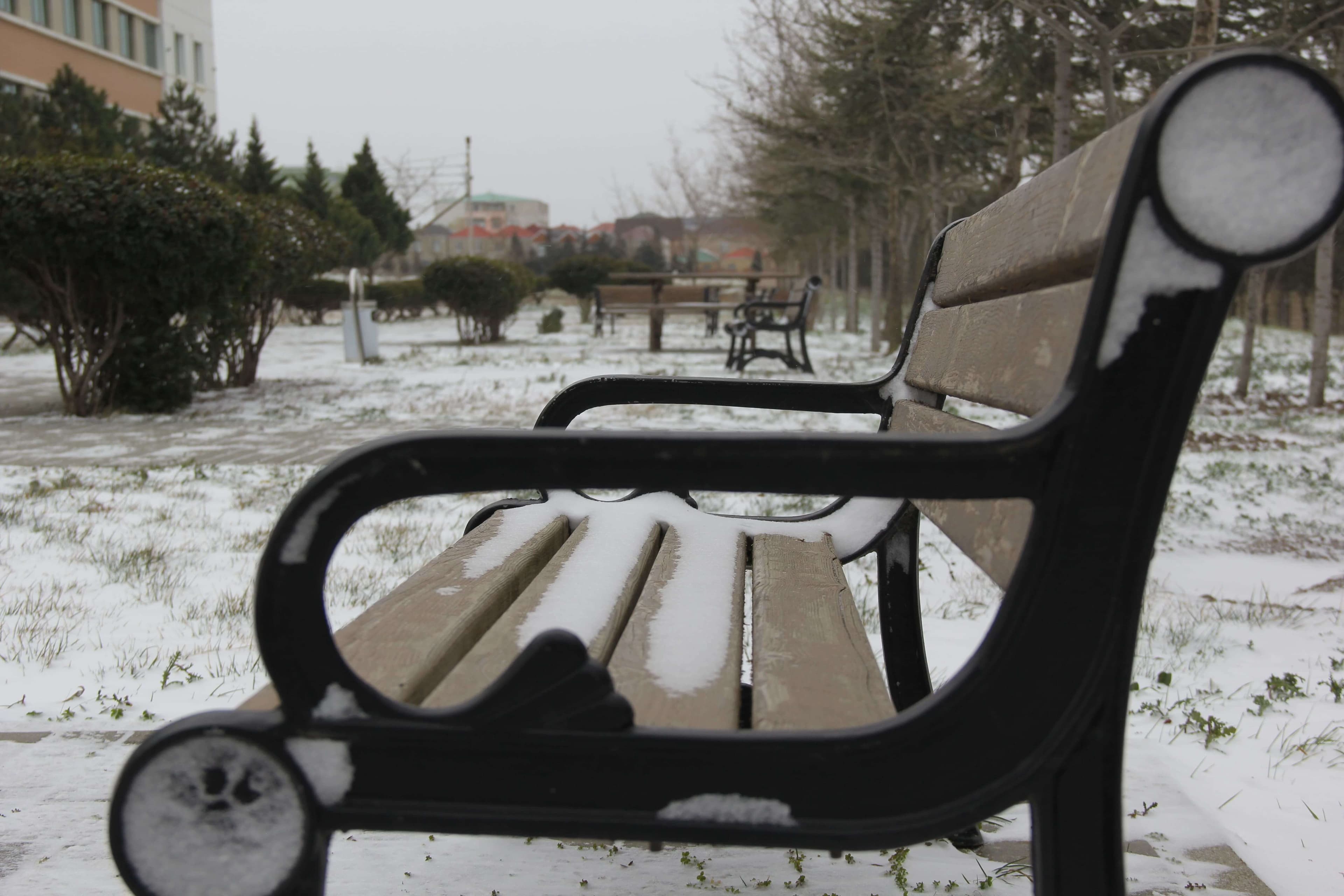 Bakı Mühəndislik Universiteti: Kampus və İnfrastruktur Qalereyası 2025 - Image 44