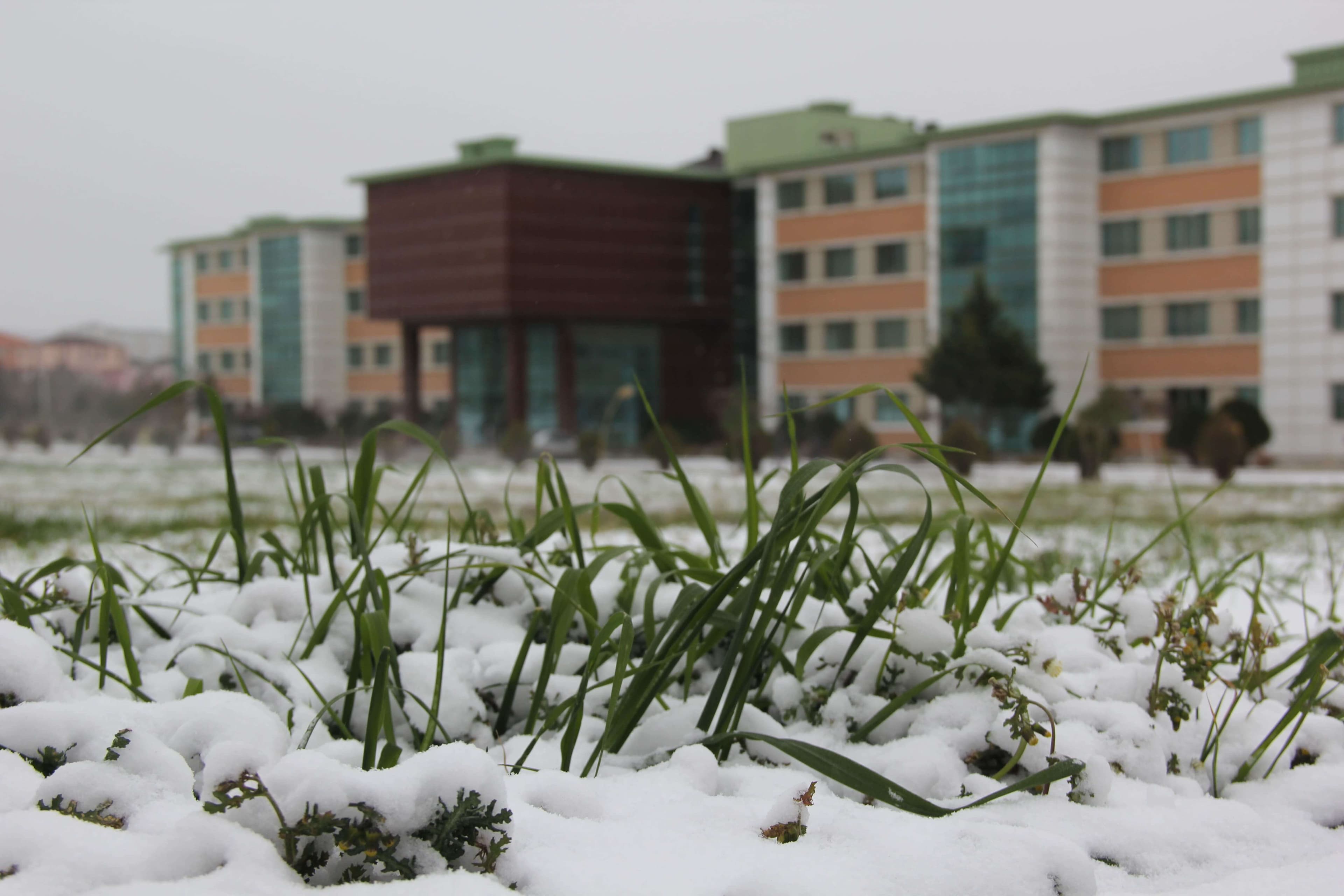Bakı Mühəndislik Universiteti: Kampus və İnfrastruktur Qalereyası 2025 - Image 47