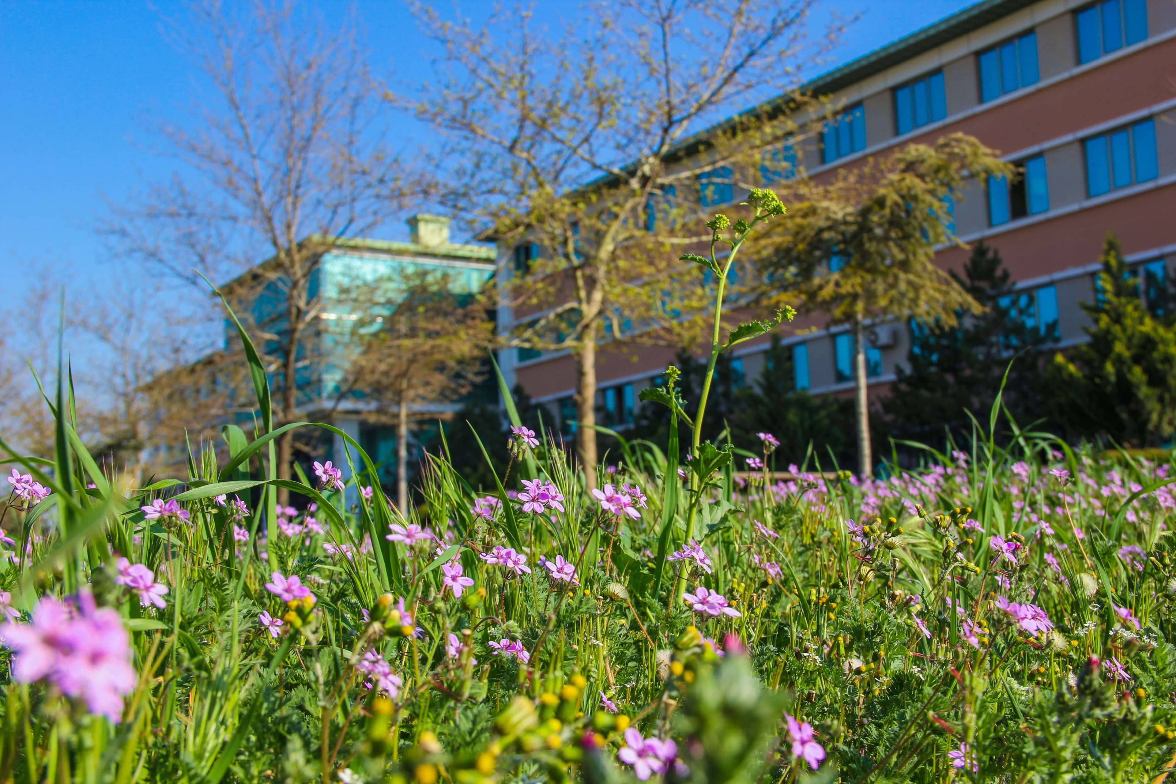 Bakı Mühəndislik Universiteti: Kampus və İnfrastruktur Qalereyası 2025 - Image 34
