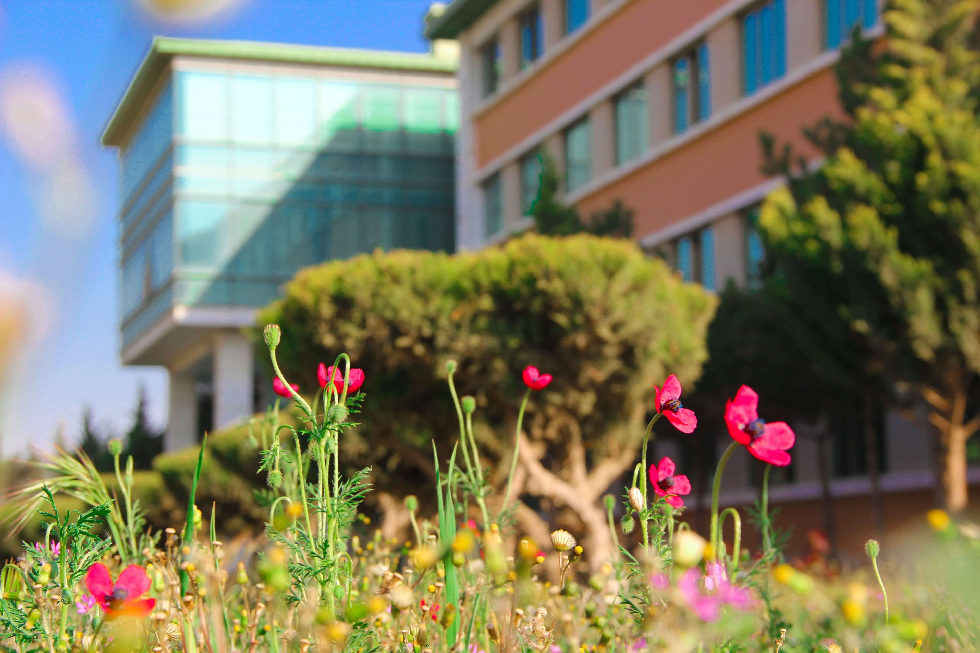 Bakı Mühəndislik Universiteti: Kampus və İnfrastruktur Qalereyası 2025 - Image 35