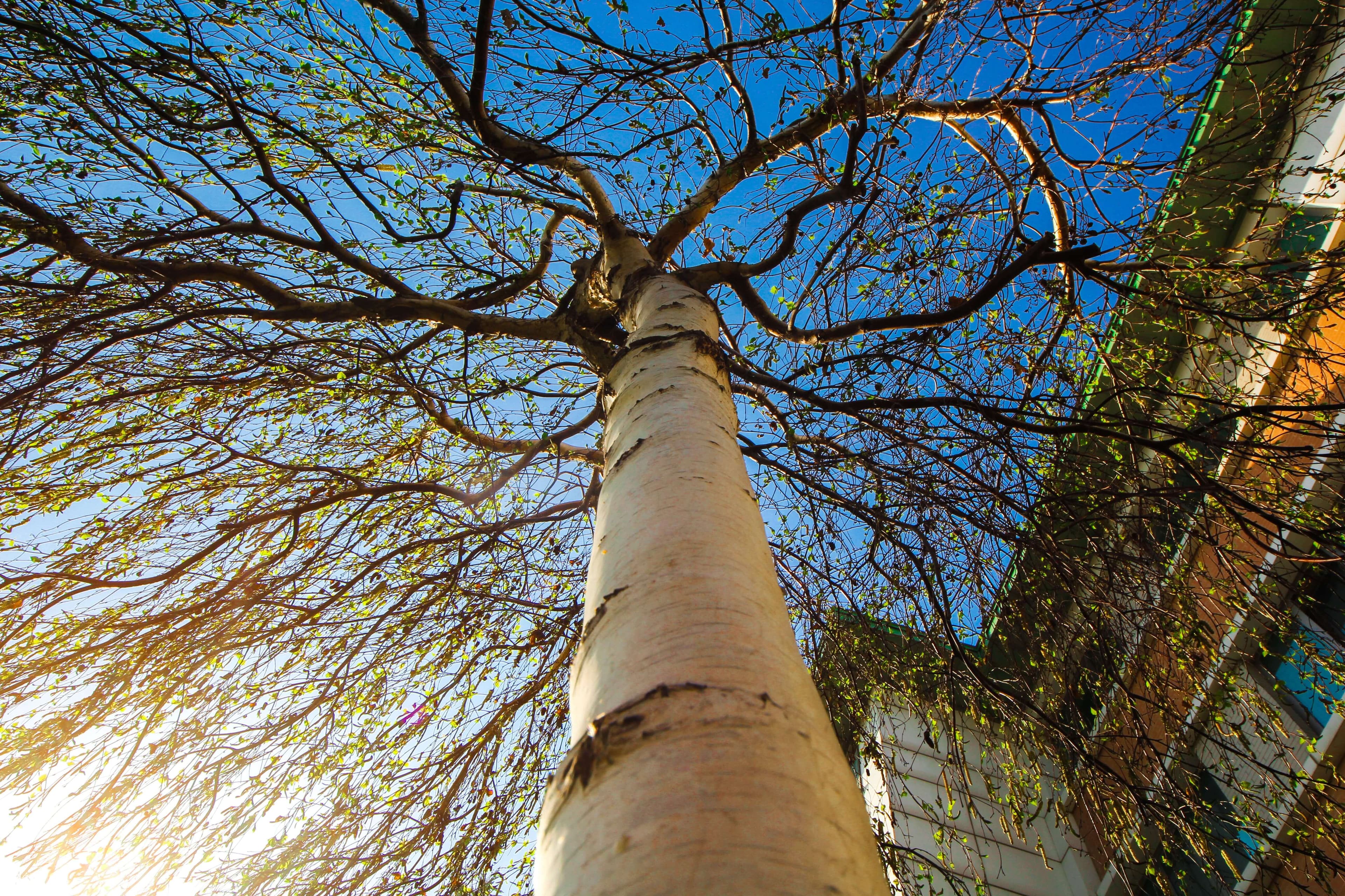 Bakı Mühəndislik Universiteti: Kampus və İnfrastruktur Qalereyası 2025 - Image 36