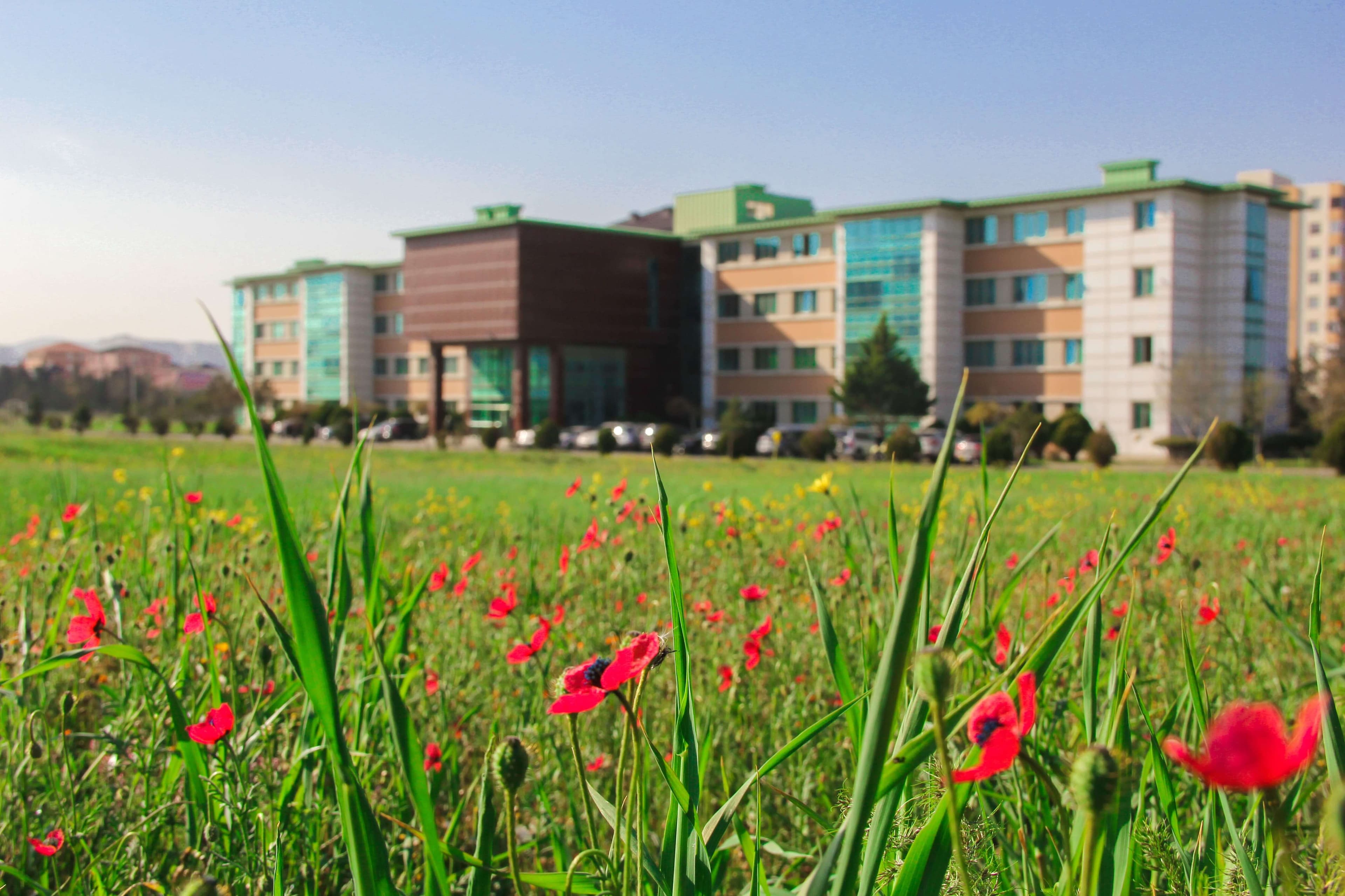 Bakı Mühəndislik Universiteti: Kampus və İnfrastruktur Qalereyası 2025 - Image 37