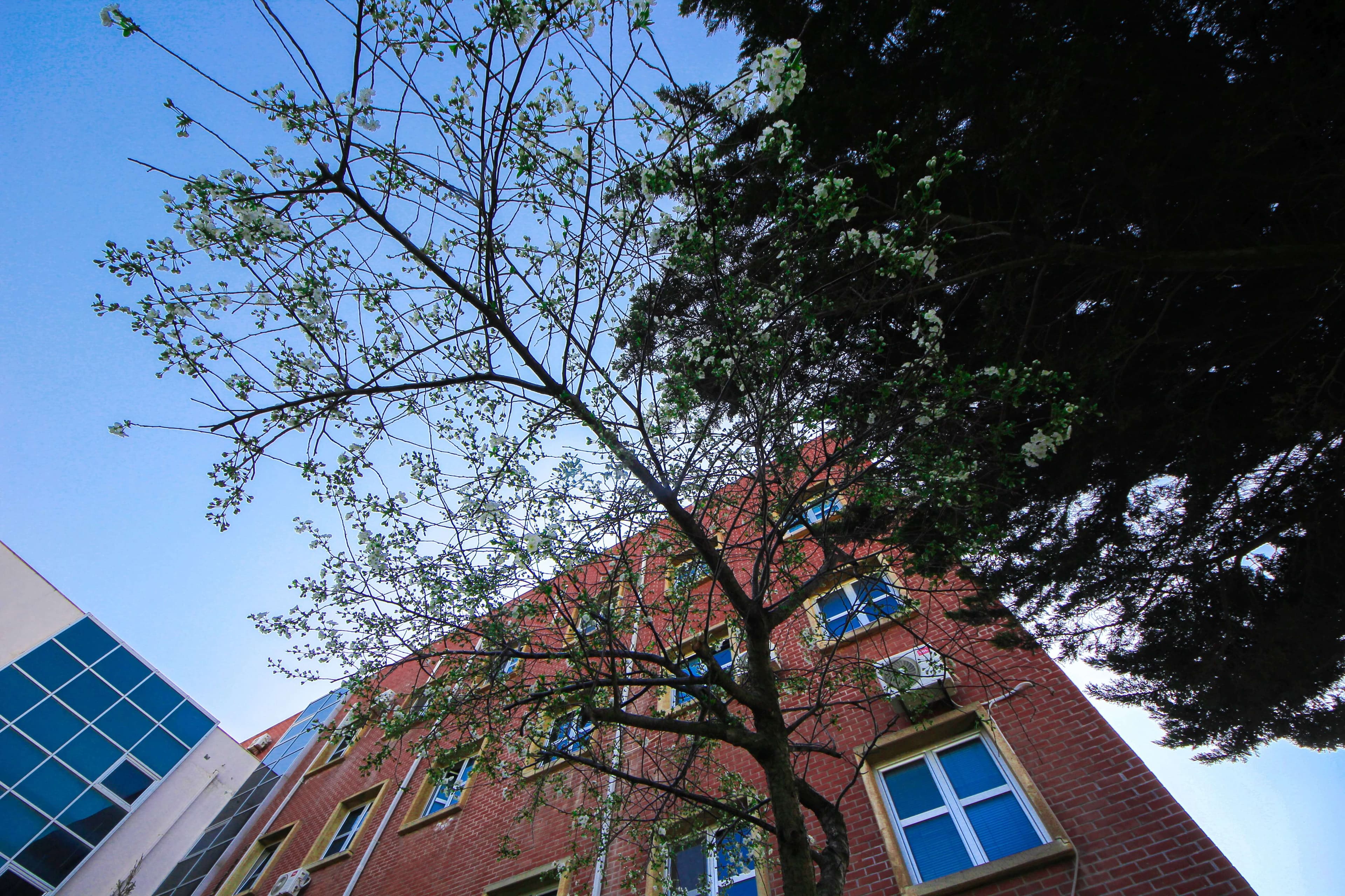 Bakı Mühəndislik Universiteti: Kampus və İnfrastruktur Qalereyası 2025 - Image 38