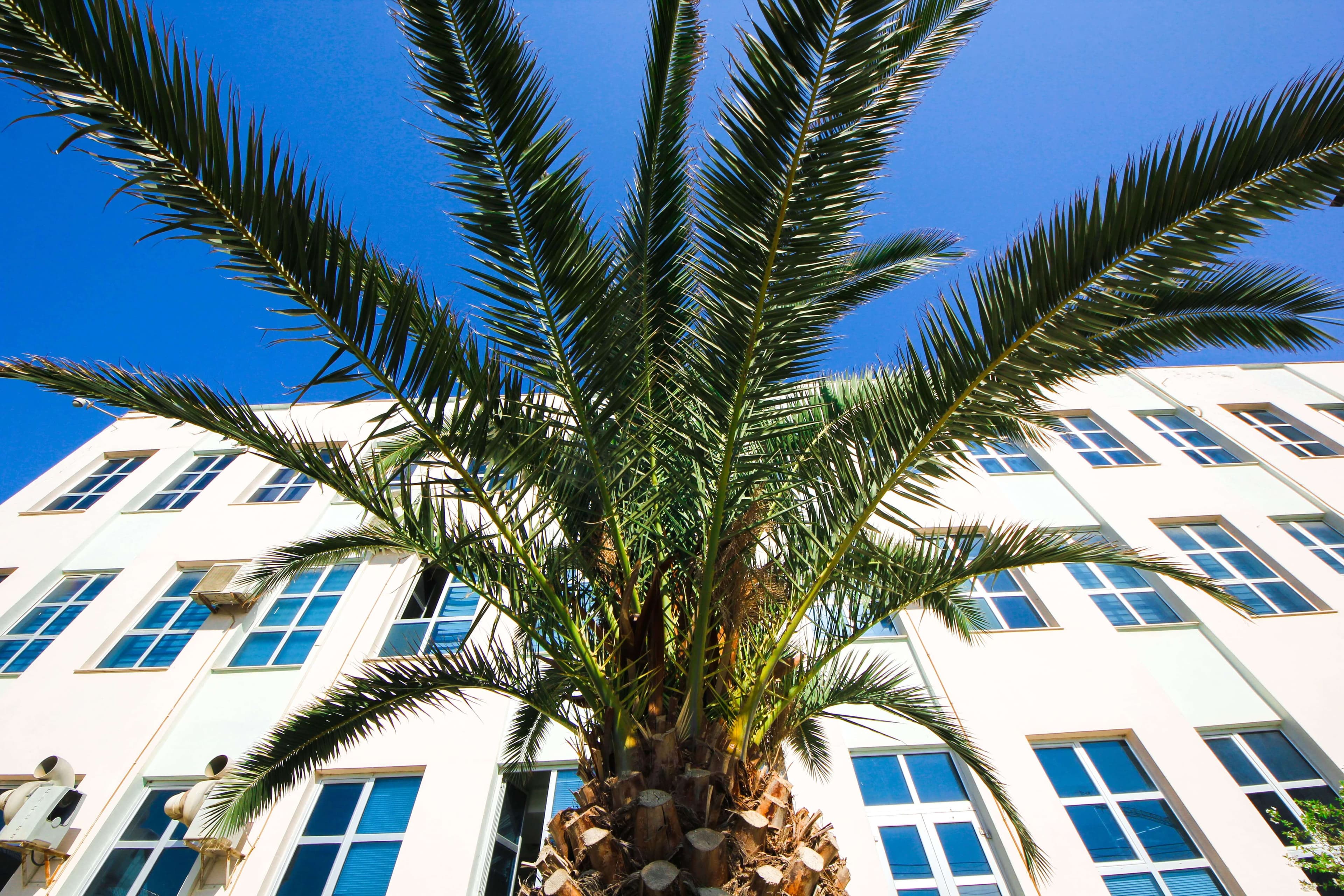 Bakı Mühəndislik Universiteti: Kampus və İnfrastruktur Qalereyası 2025 - Image 39