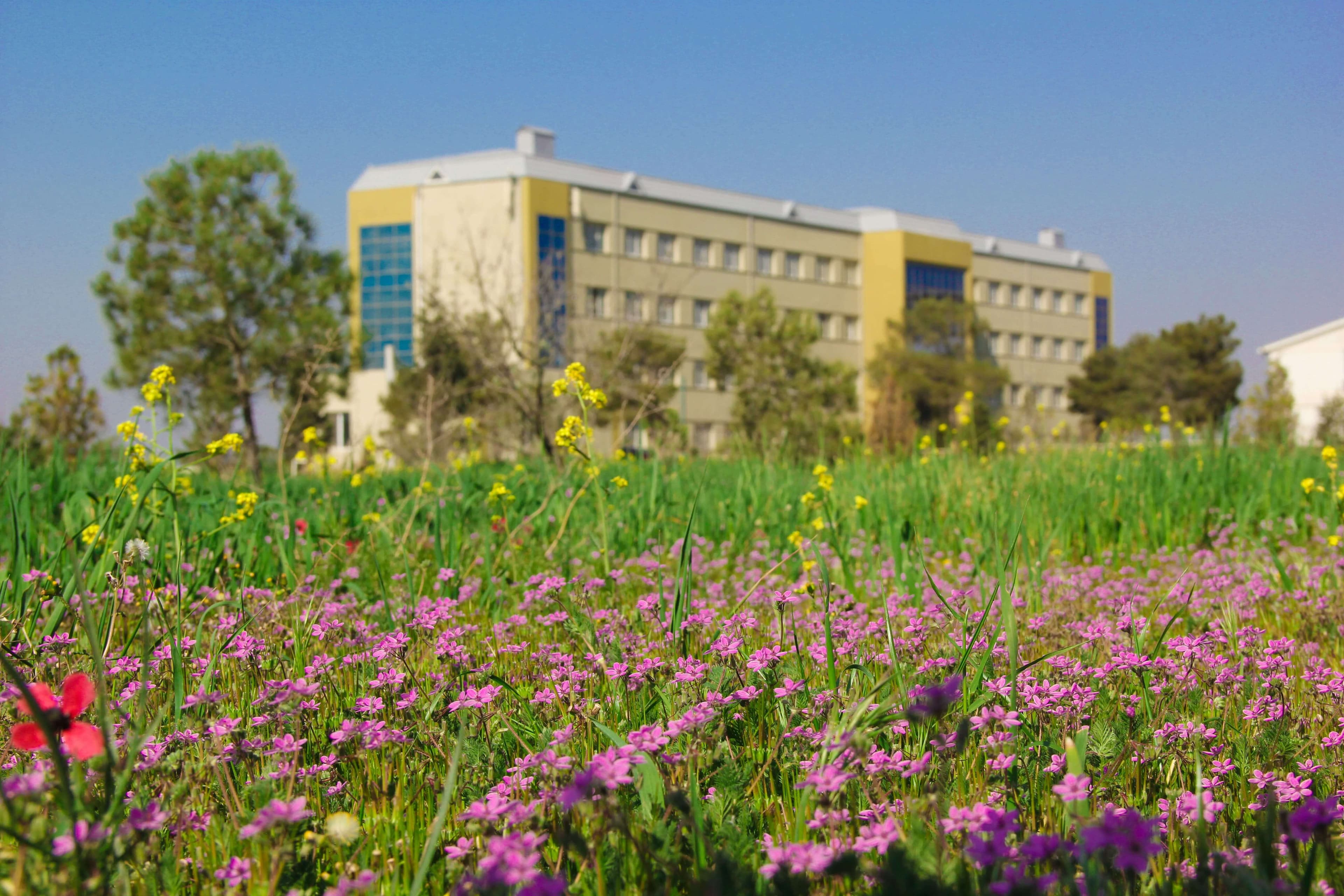 Bakı Mühəndislik Universiteti: Kampus və İnfrastruktur Qalereyası 2025 - Image 40