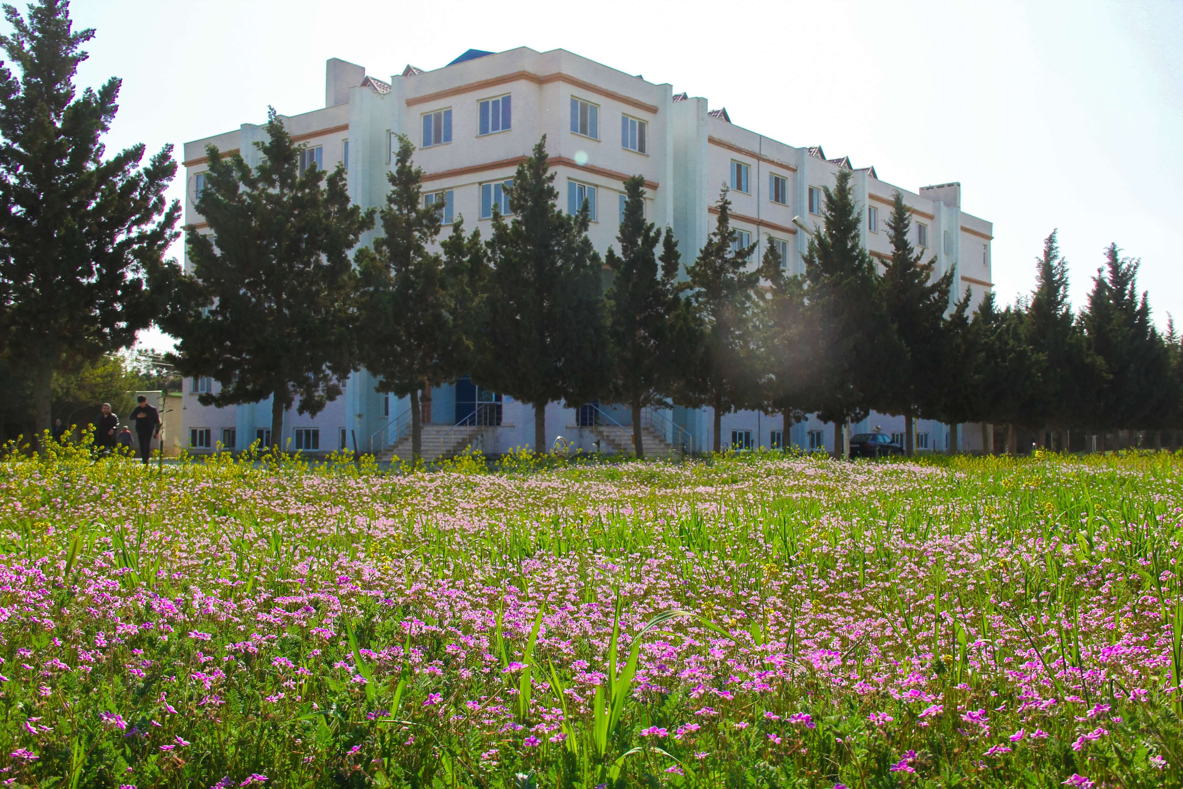 Bakı Mühəndislik Universiteti: Kampus və İnfrastruktur Qalereyası 2025 - Image 41