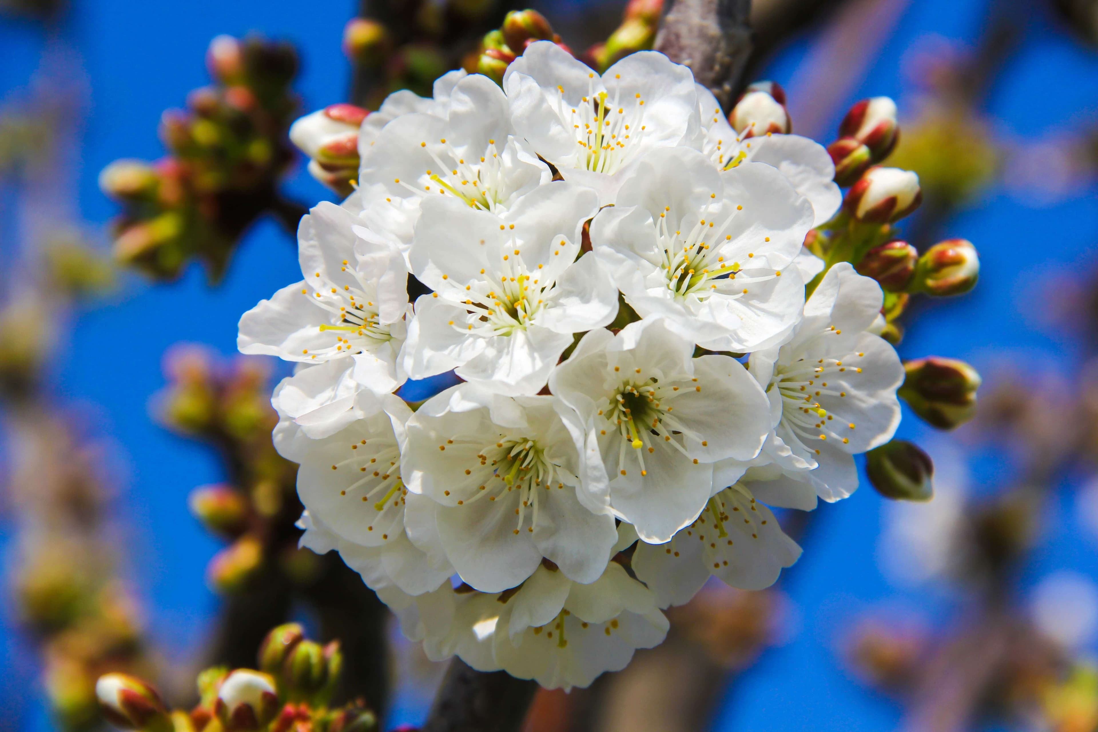 Bakı Mühəndislik Universiteti: Kampus və İnfrastruktur Qalereyası 2025 - Image 42