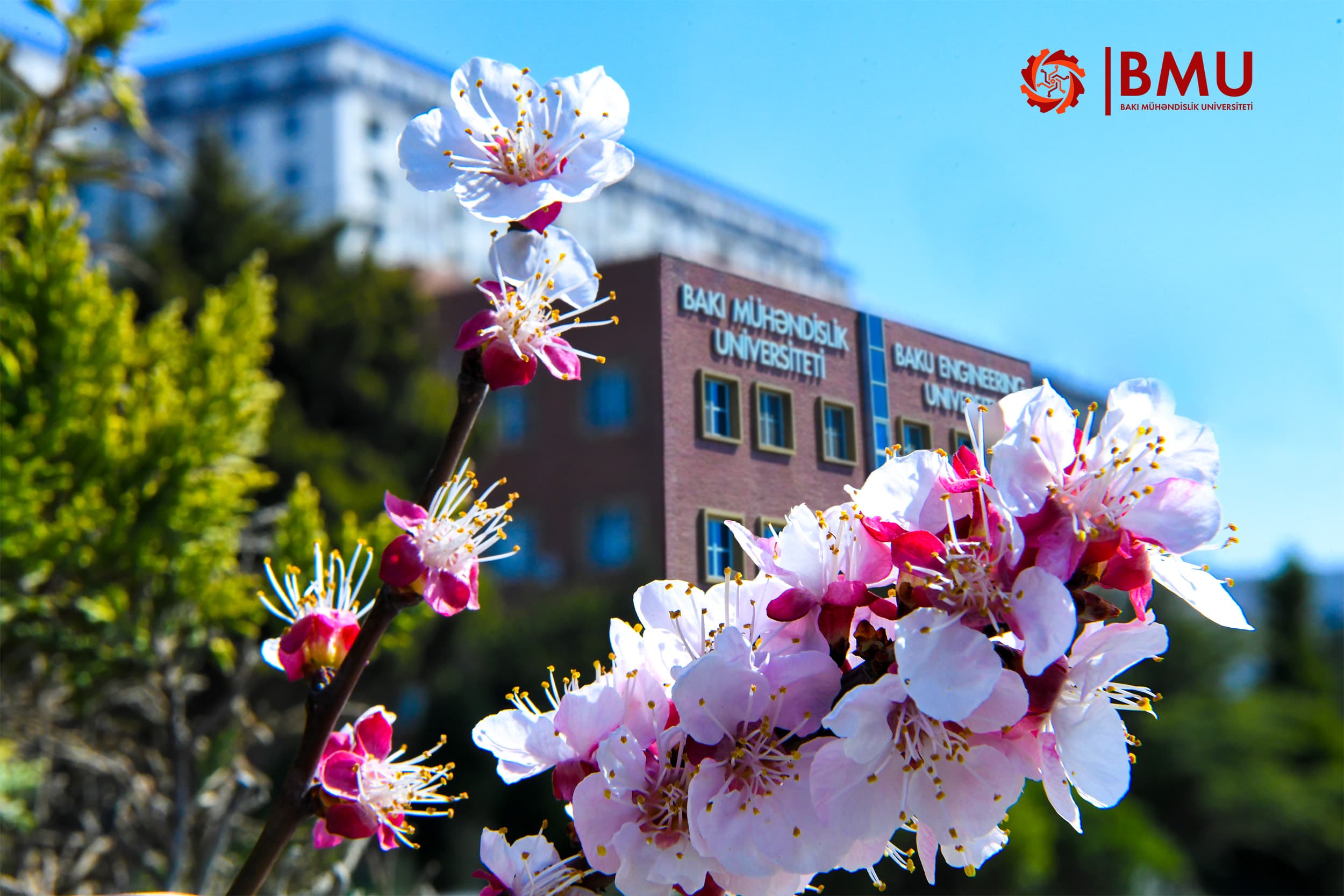 BMU kampusunda baharın nəfəsi duyulur
