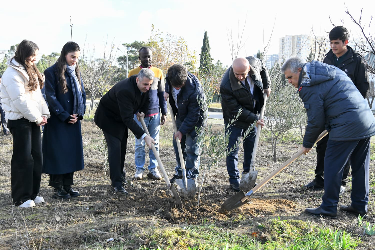 BMU kampusunda yeni ağaclar əkilib