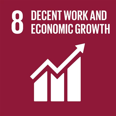 Report on SDG 8: Decent Work and Economic Growth