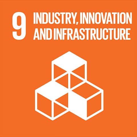 Report on SDG 9: Industry, Innovation and Infrastructure