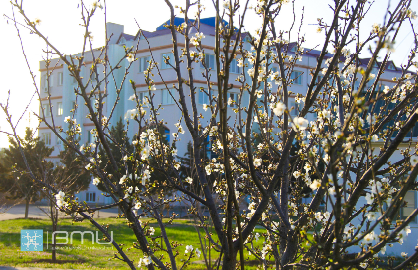 Spring landscapes of Baku Engineering University - PHOTO REPORT