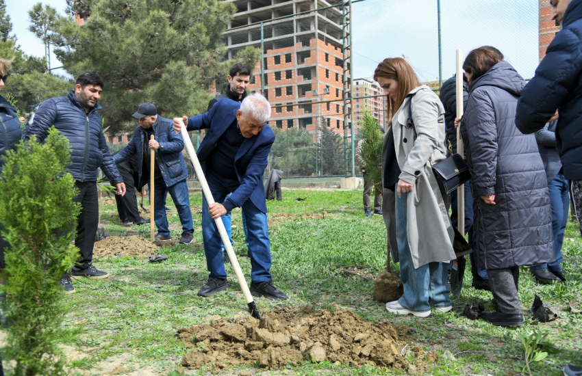 BEU hosts tree-planting action as part of "Green World Solidarity Year"
